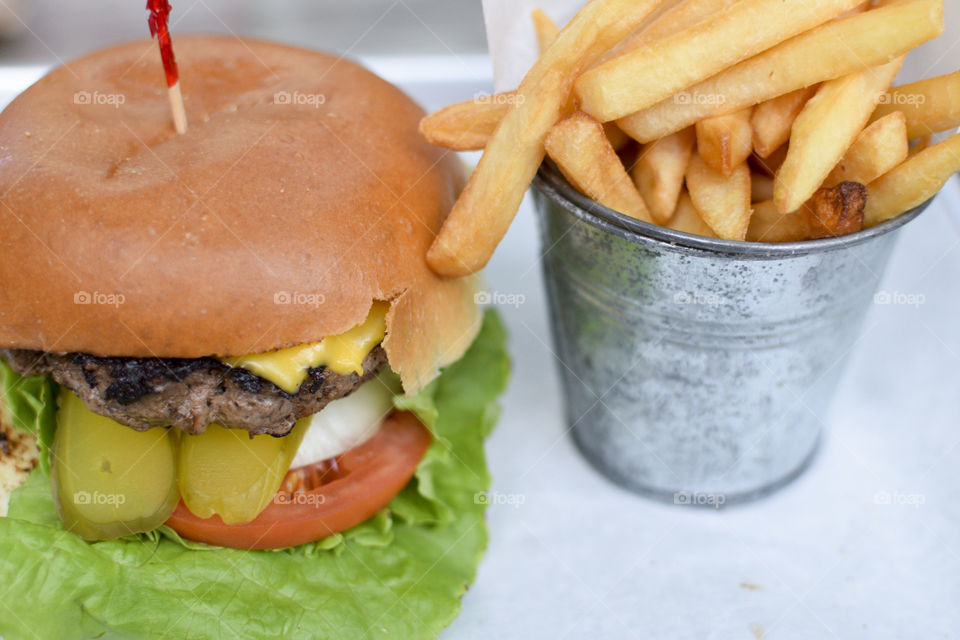 Cheeseburger and Fries 