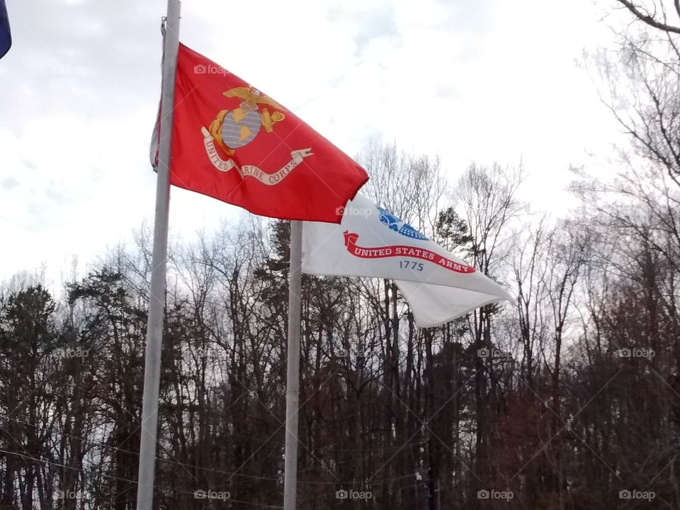 Spring flags