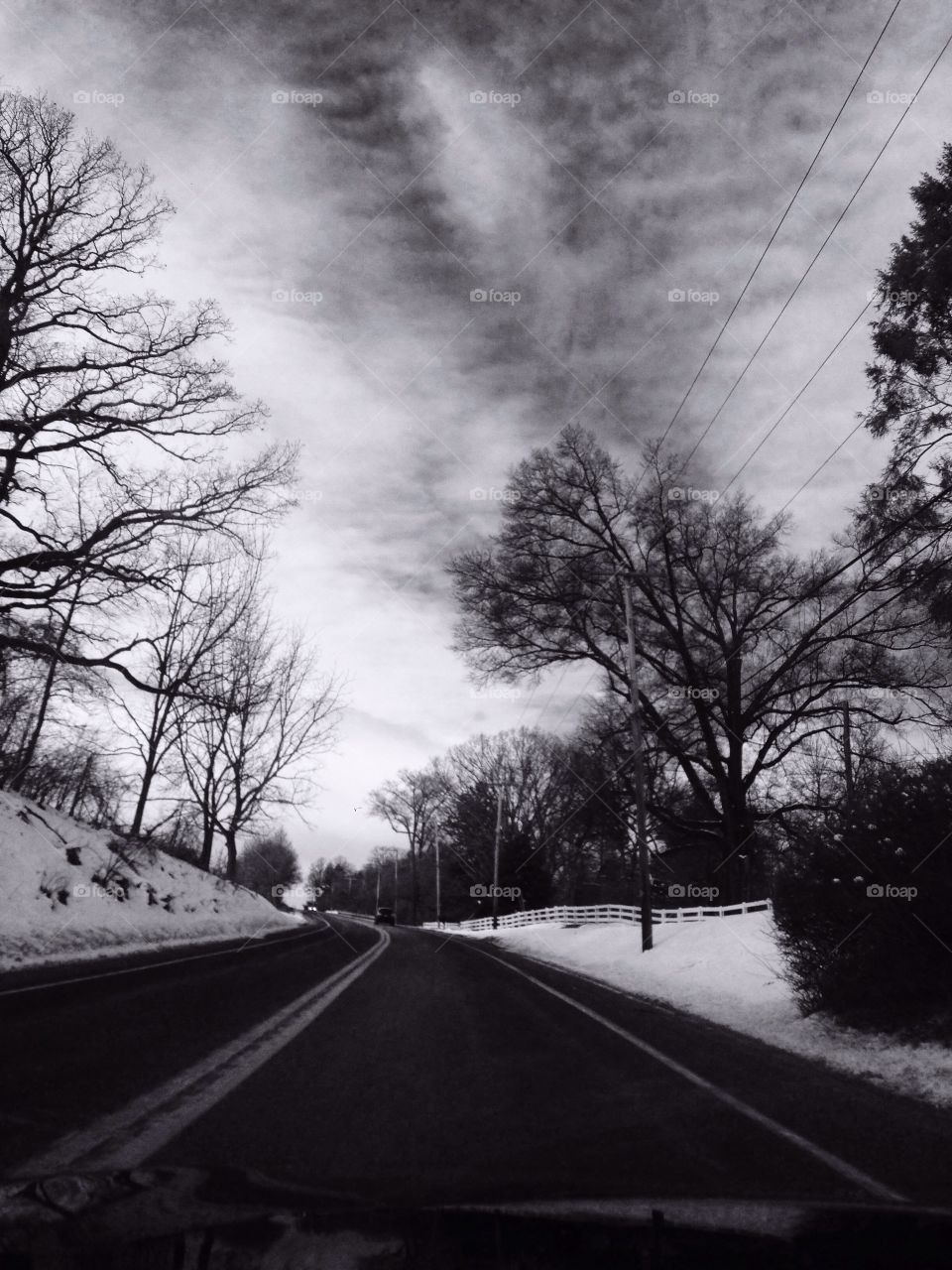 Road, Tree, Landscape, Weather, Winter