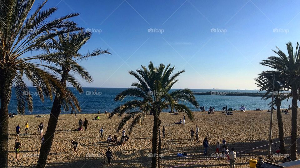 The Barceloneta Beach. With their mediterranean sea and lots of palms trees. Summer time!