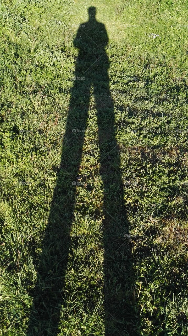 my own shadow with long legs on the grass