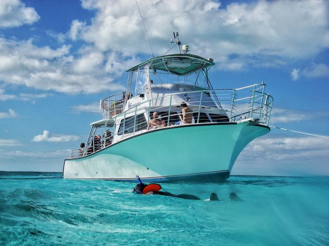 Key largo snorkel
