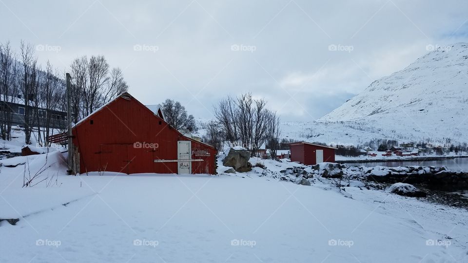 Frozen landscapes