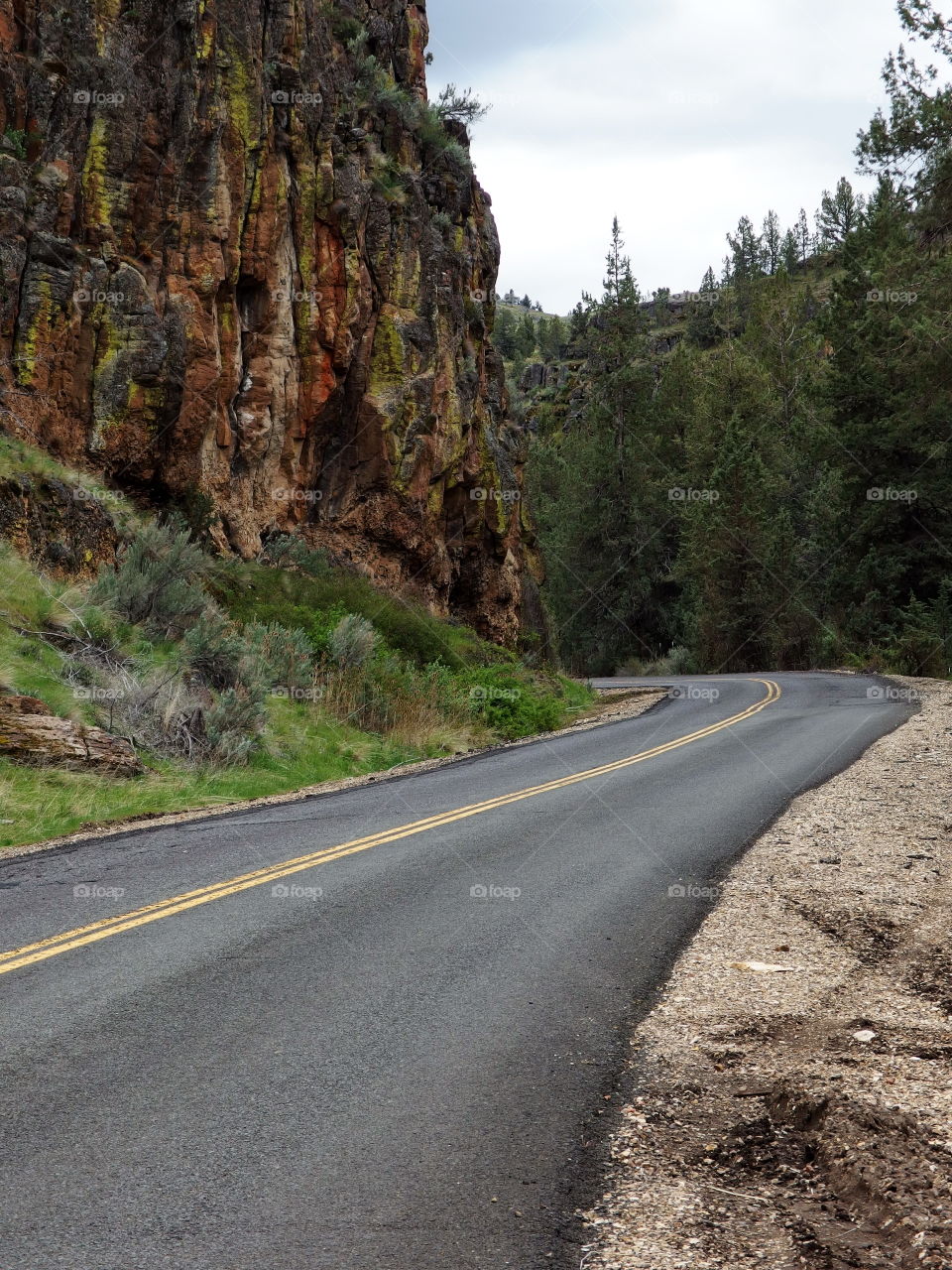 A road in Eastern Oregon winds through canyons, hills, and cliffs covered in trees and fresh green sagebrush on a sunny spring morning. 