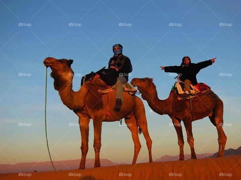 Sunset in the desert 