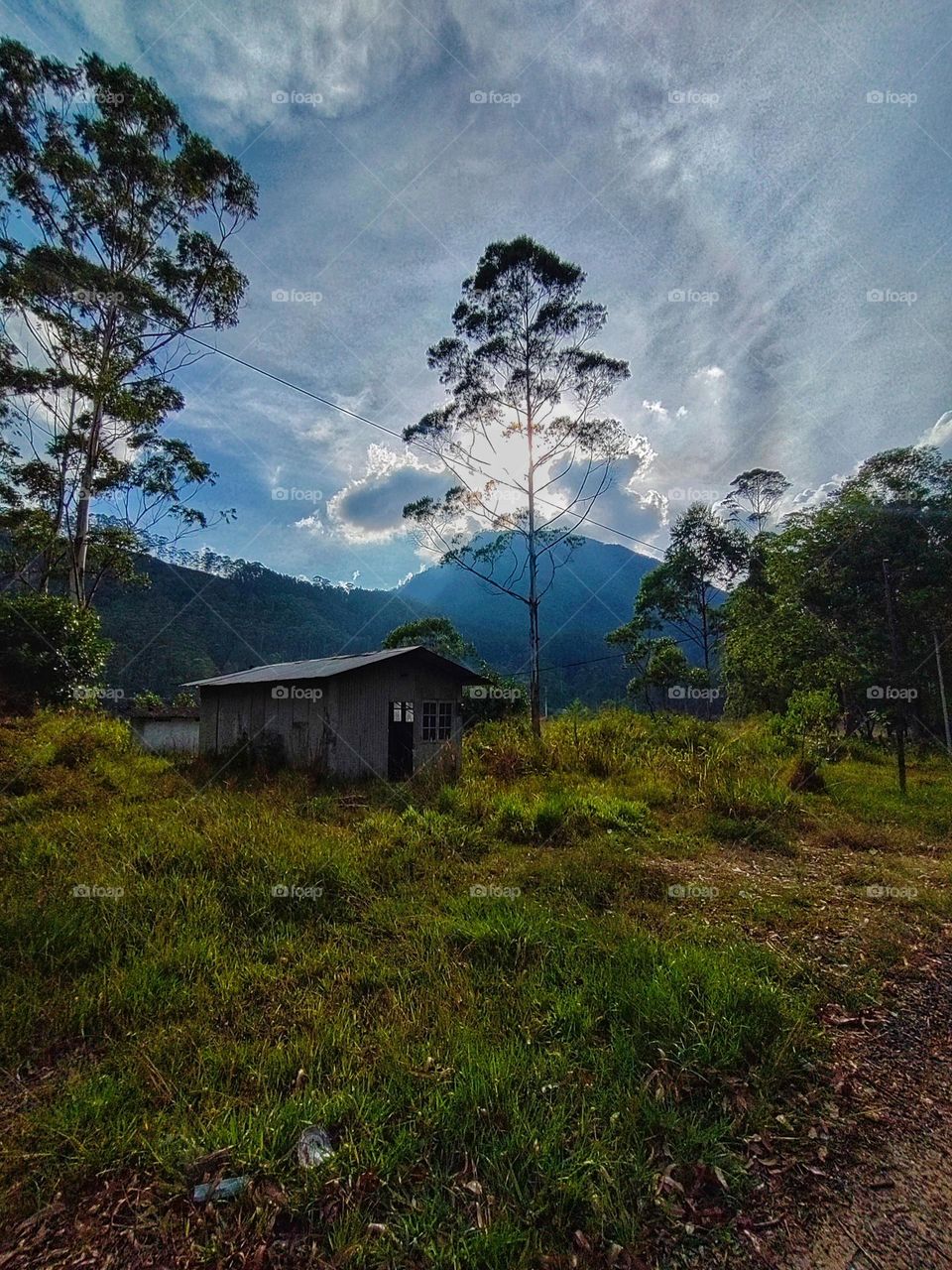 village house in the morning