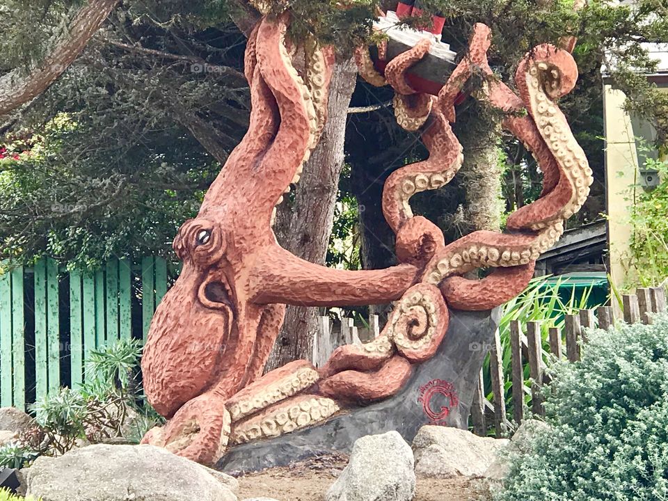 Octopus Carved Tree