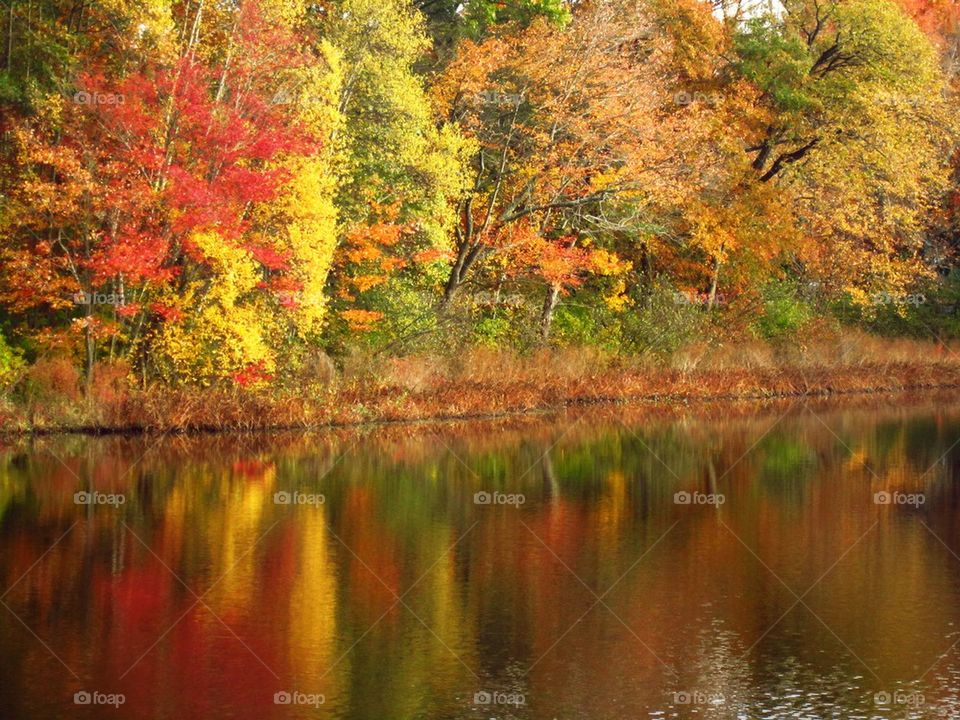 Messinger, Canton Massachusetts