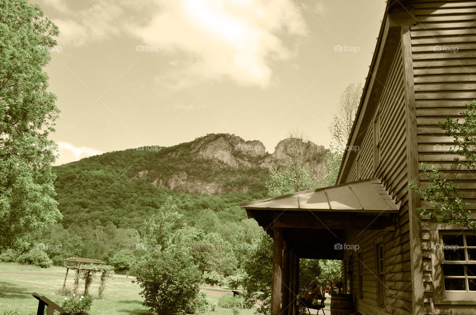 Take the Nostalgic Way Home ( Series )