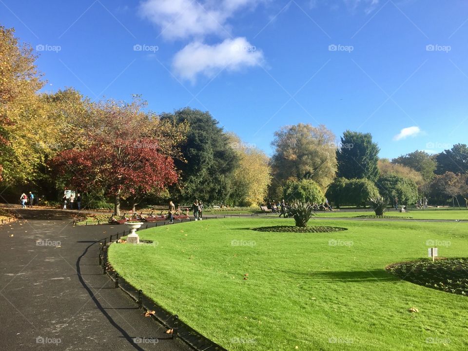 Autumn in a park in Dublin, Ireland