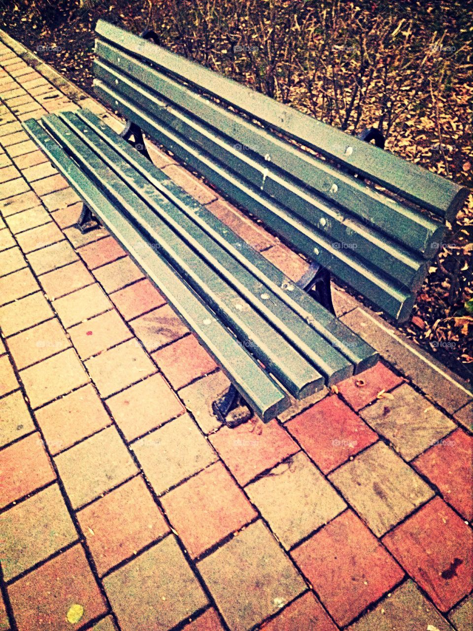 public bench on the pavement