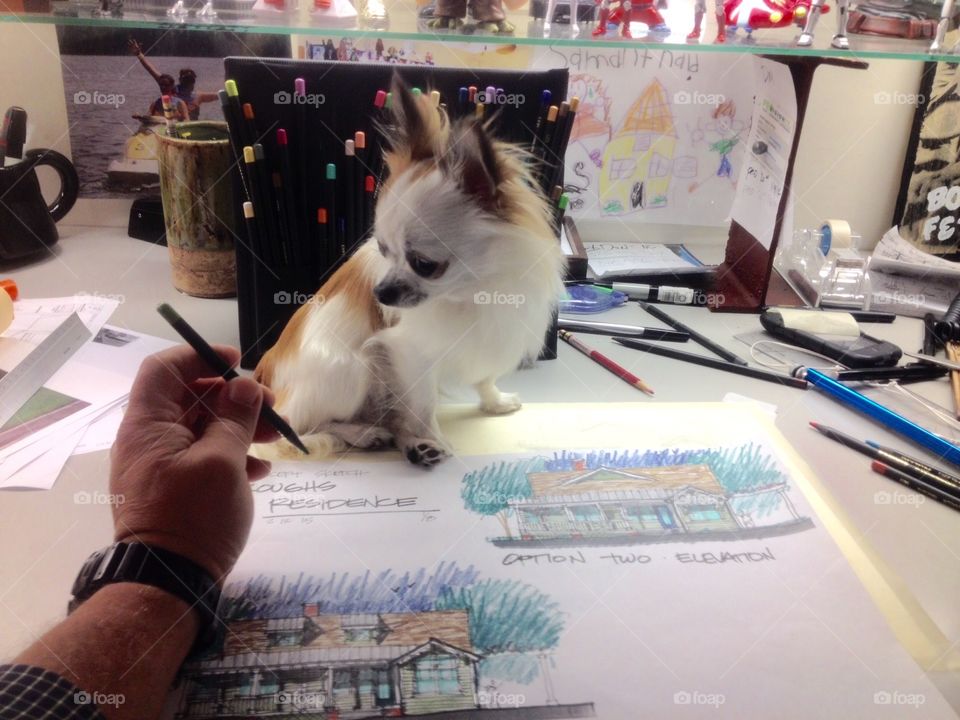 Architects sketches on my desk