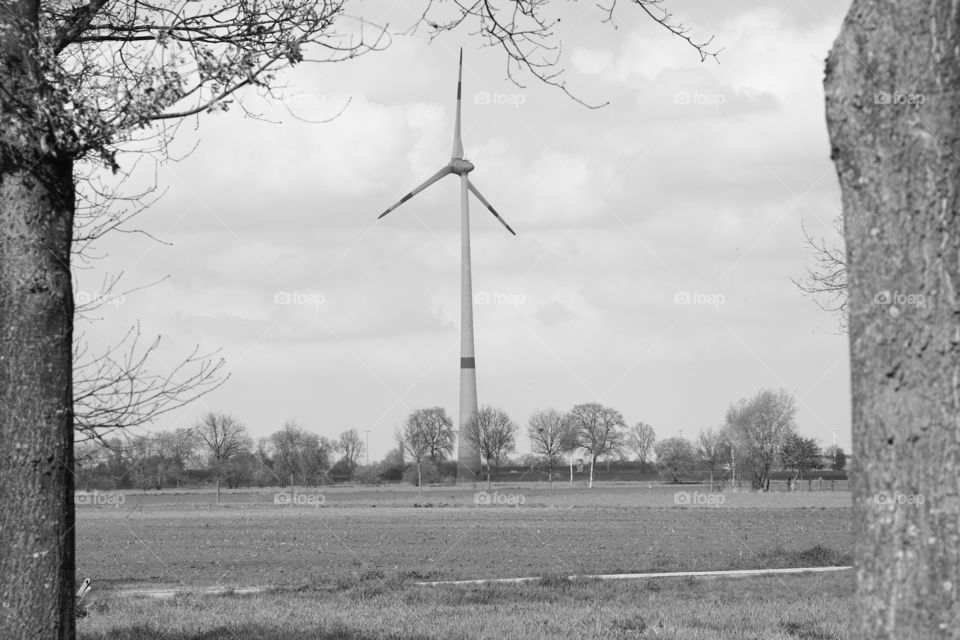 Windmill in the distance