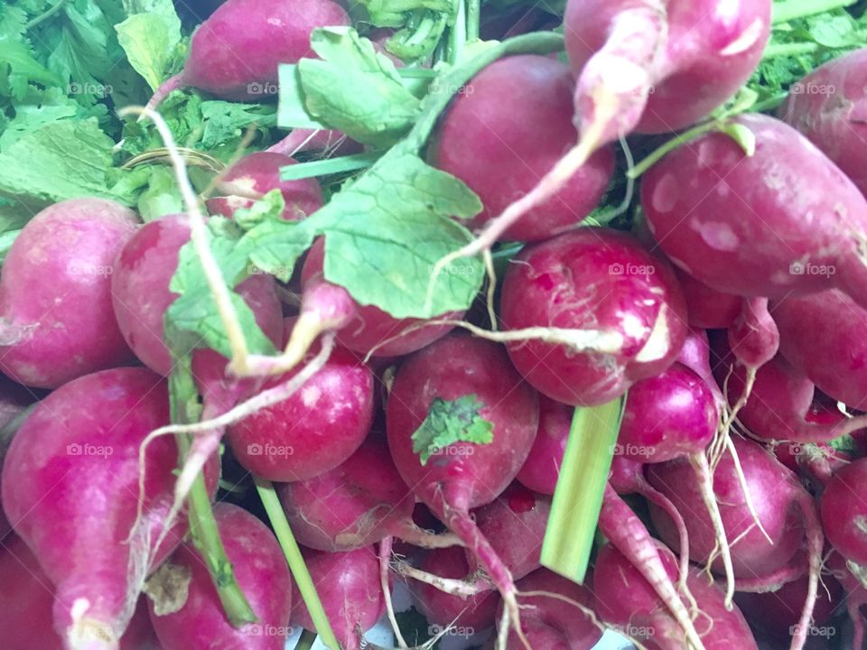 Radishes roots stems fruit red green market vegetables 