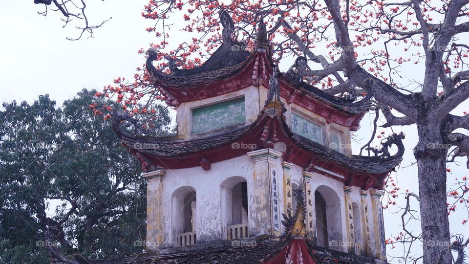 Pagoda and bombax
