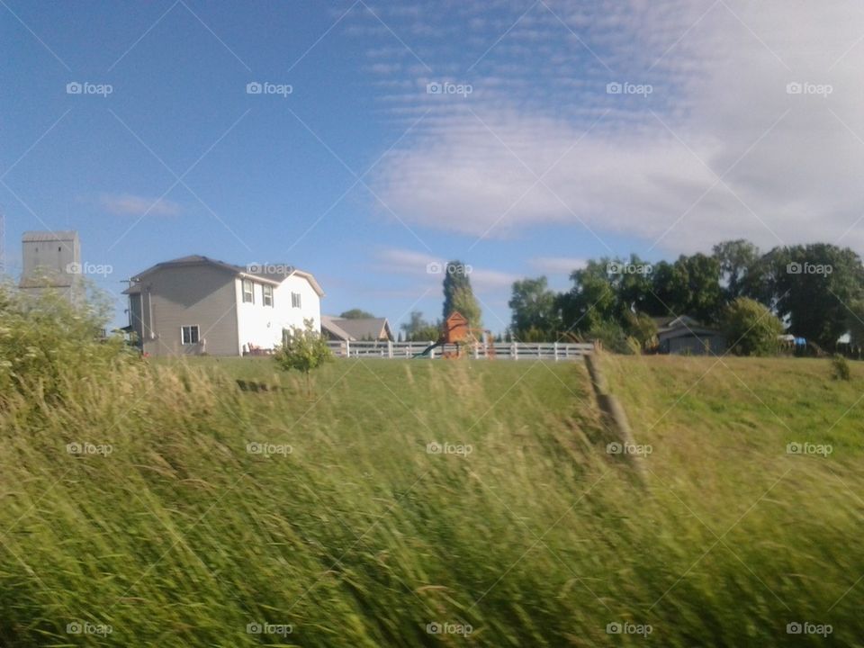 house in field