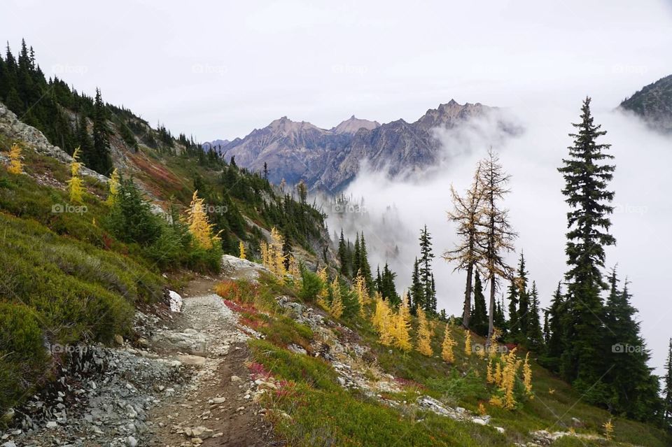 Hiking up high