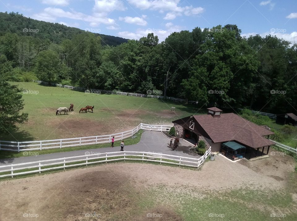 Washing the horses after the ride