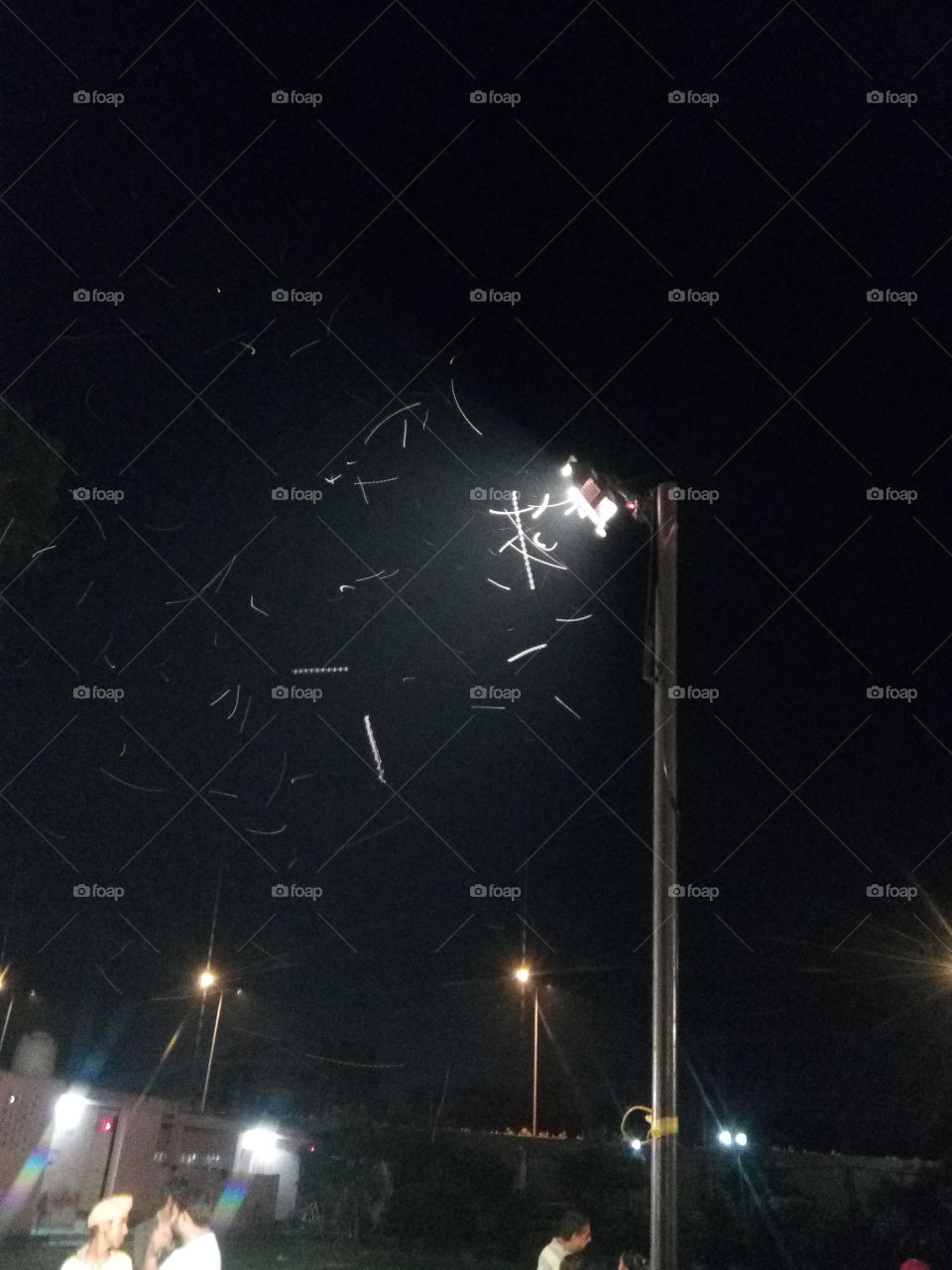 insects around a light at night.