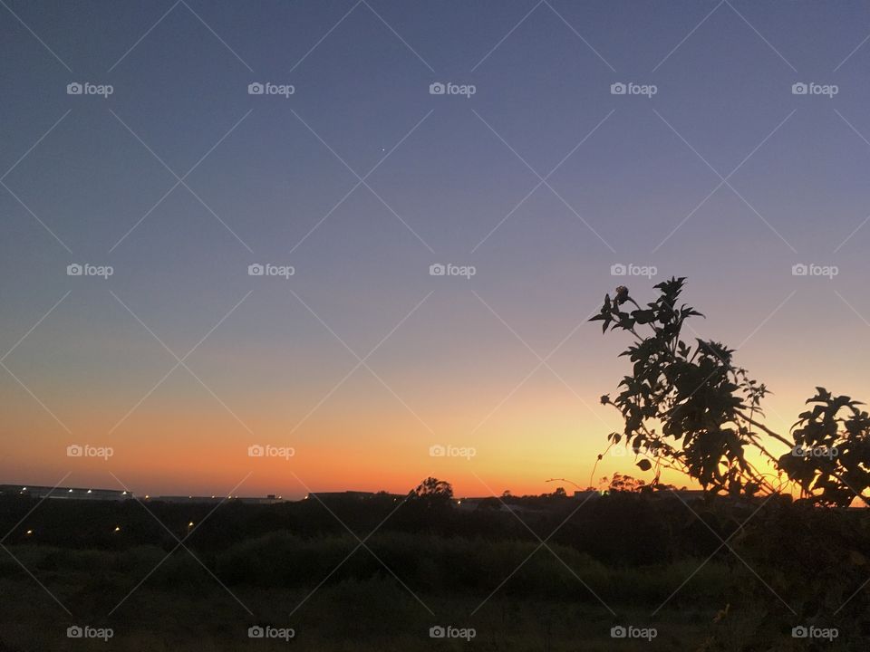 🌄🇺🇸 An extremely beautiful dawn in Jundiaí, interior of Brazil. Cheer the nature! / 🇧🇷 Um amanhecer extremamente bonito em Jundiaí, interior do Brasil. Viva a natureza!