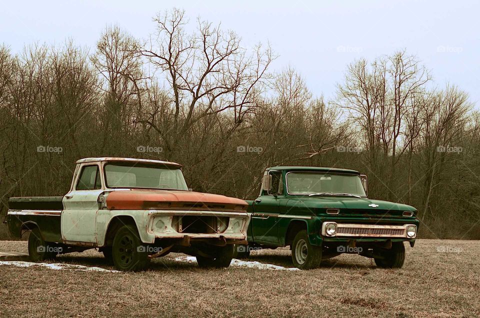 Take the Nostalgic Way Home (Series)