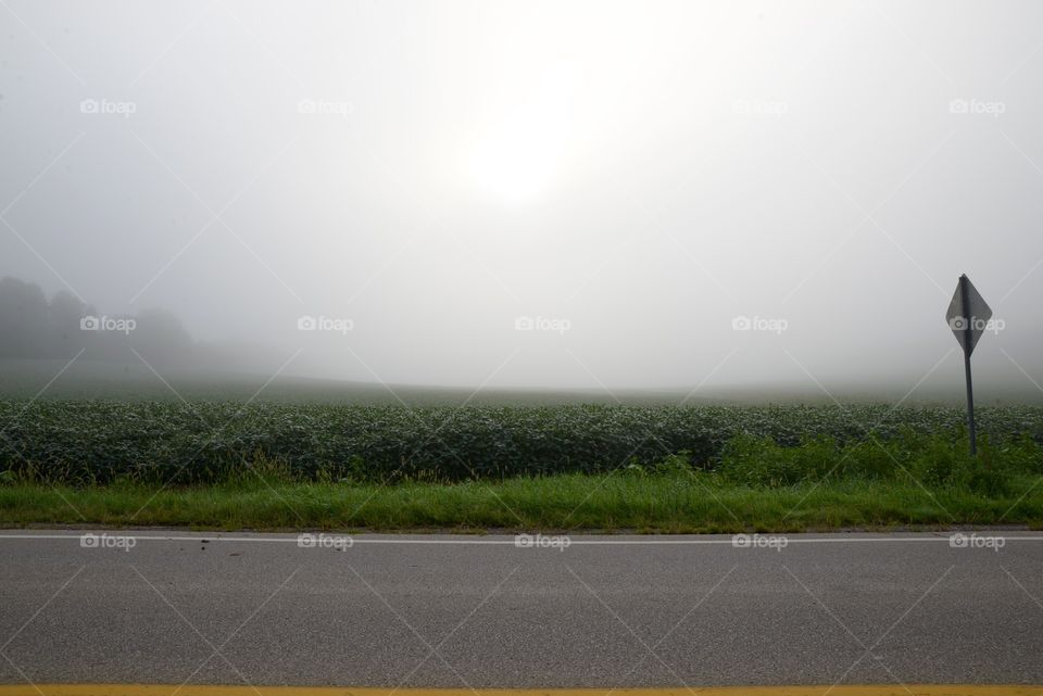 Farm fog