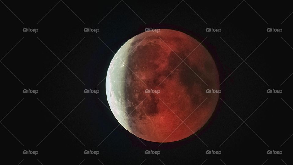 Blood Moon