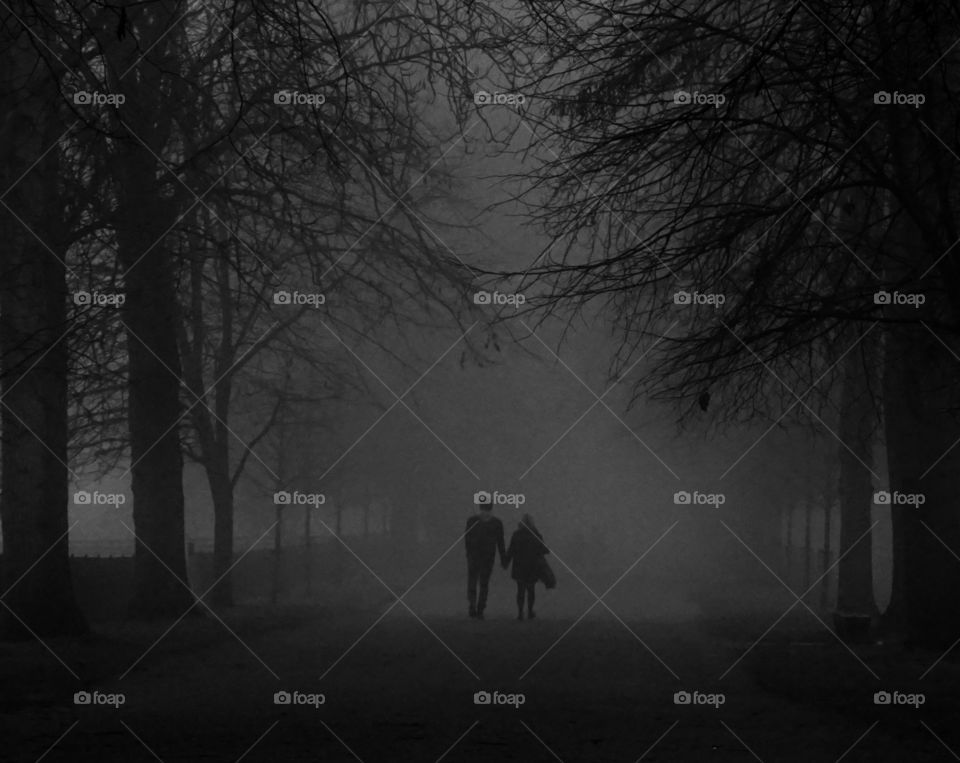 Holding hands .. togetherness ... love... a young couple enjoying a Winter stroll sharing precious time together one foggy day ...