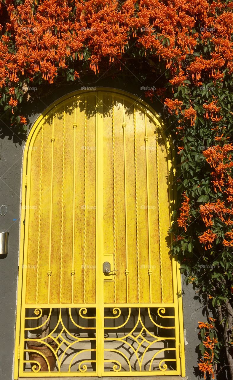 Yellow Door, Orange Flowers 