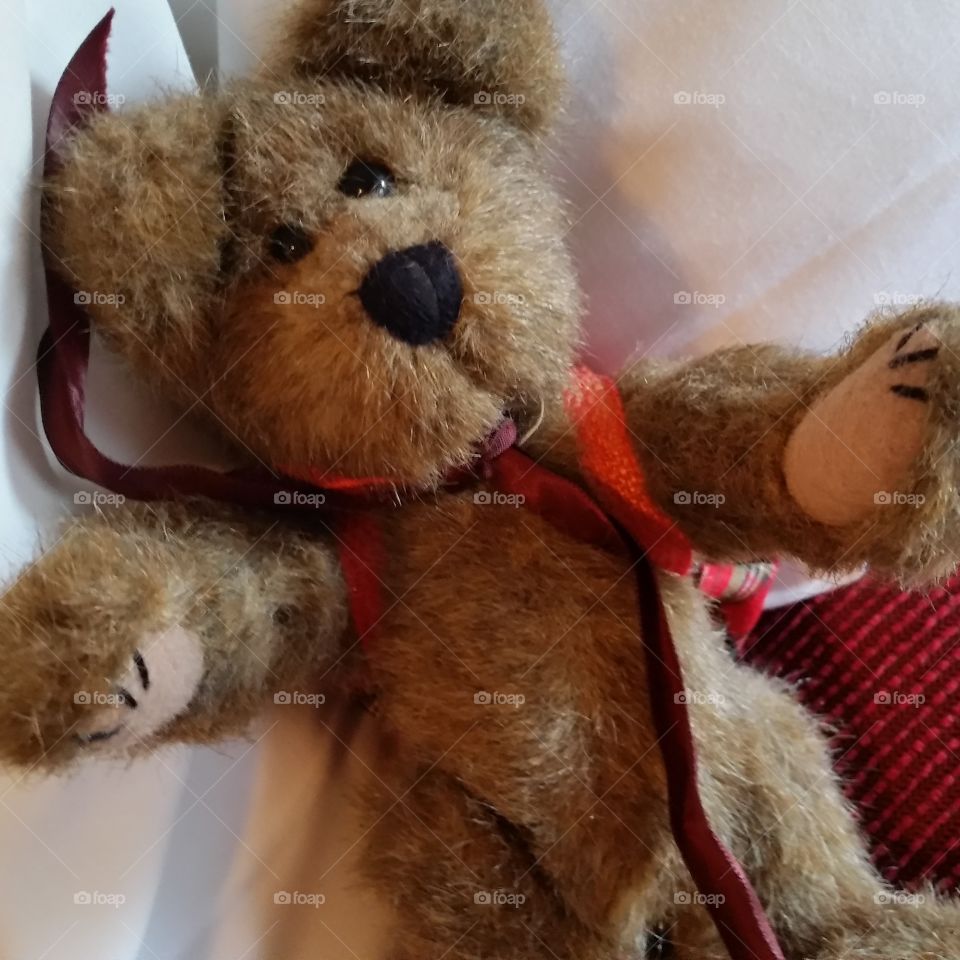 teddy bear with red ribbon