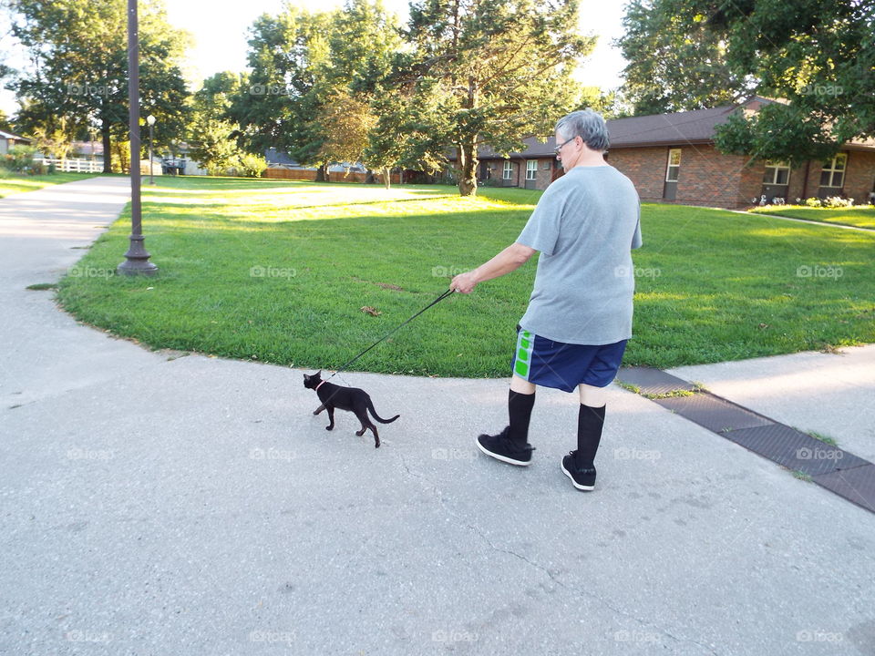 cat going for awalk