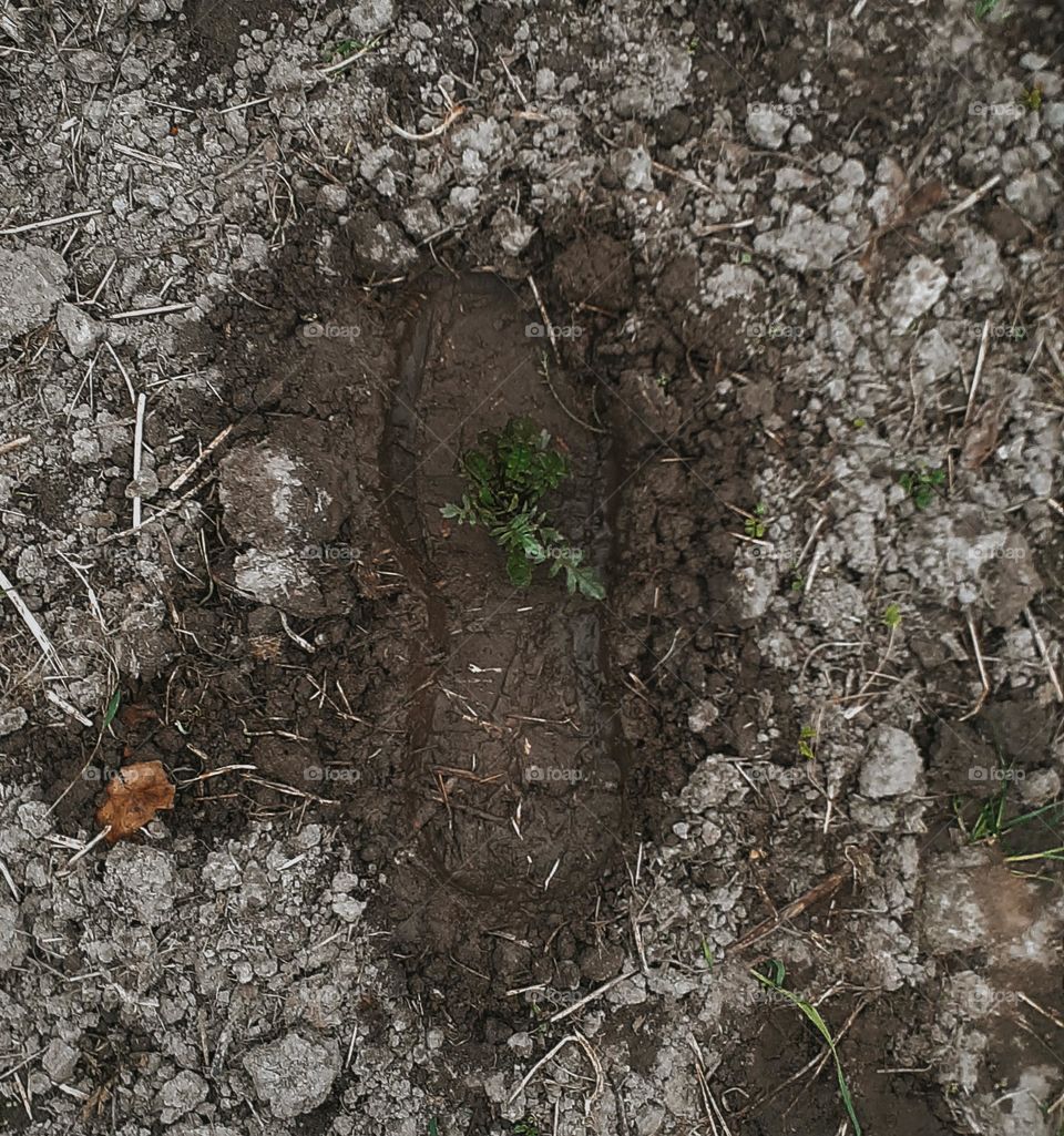 An original photo about the need to leave the right mark on the earth