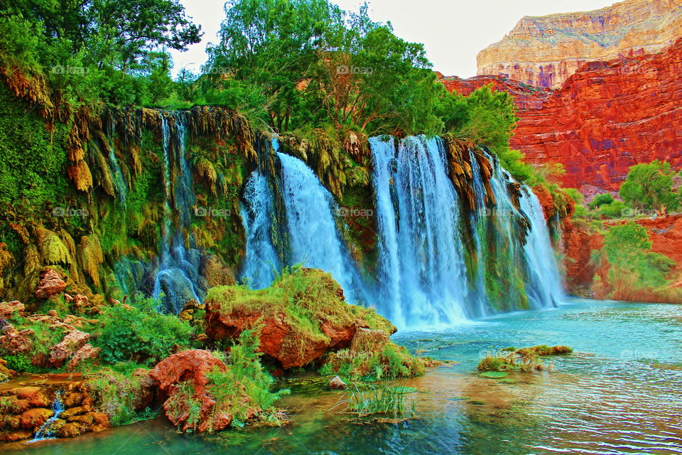 One of five amazing waterfalls along Havasu Creek in the bottom of the Grand Canyon