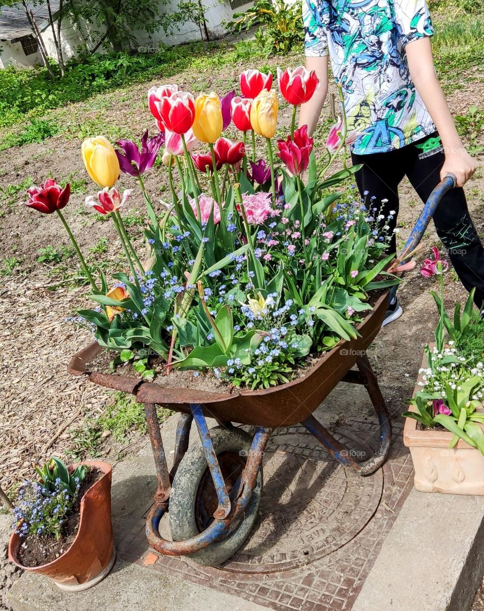a wheelbarrow with flowers