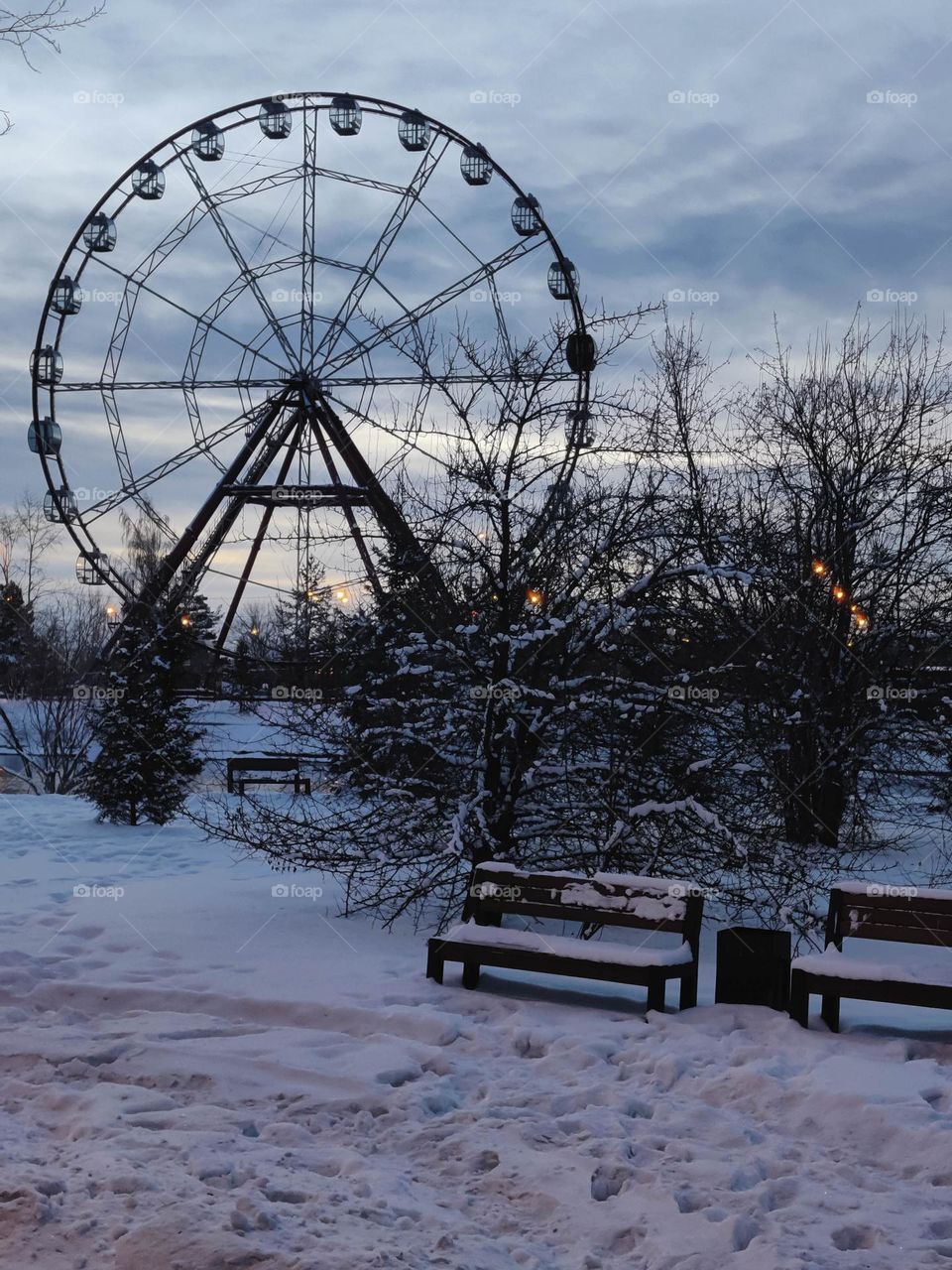 Winter walk in the park