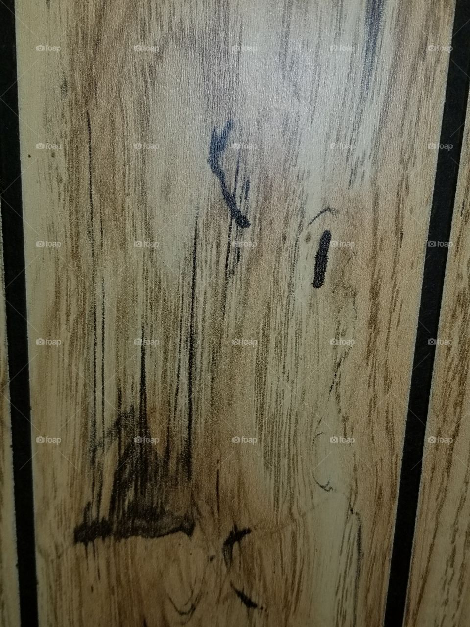 1973 wood paneling wall.