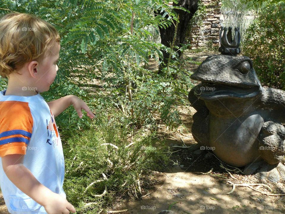 Boy and frog