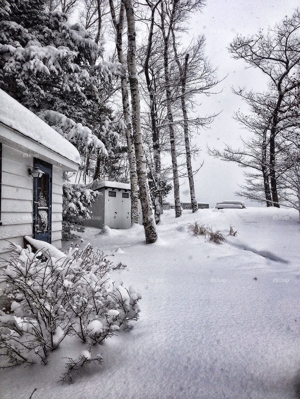 After a fresh snowfall