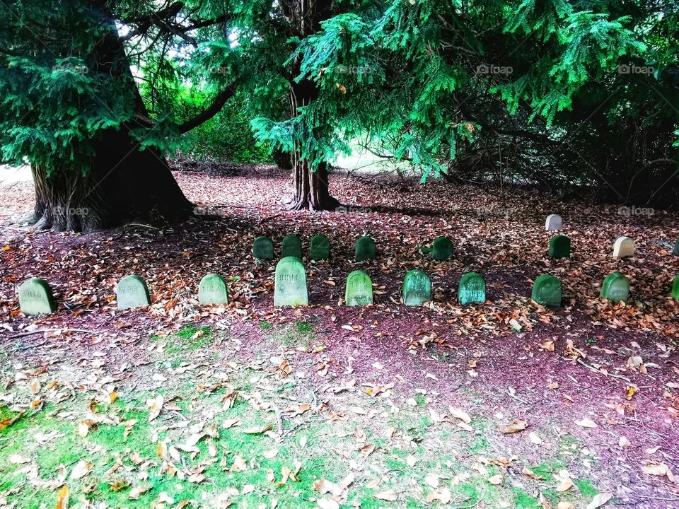 Pet cemetery