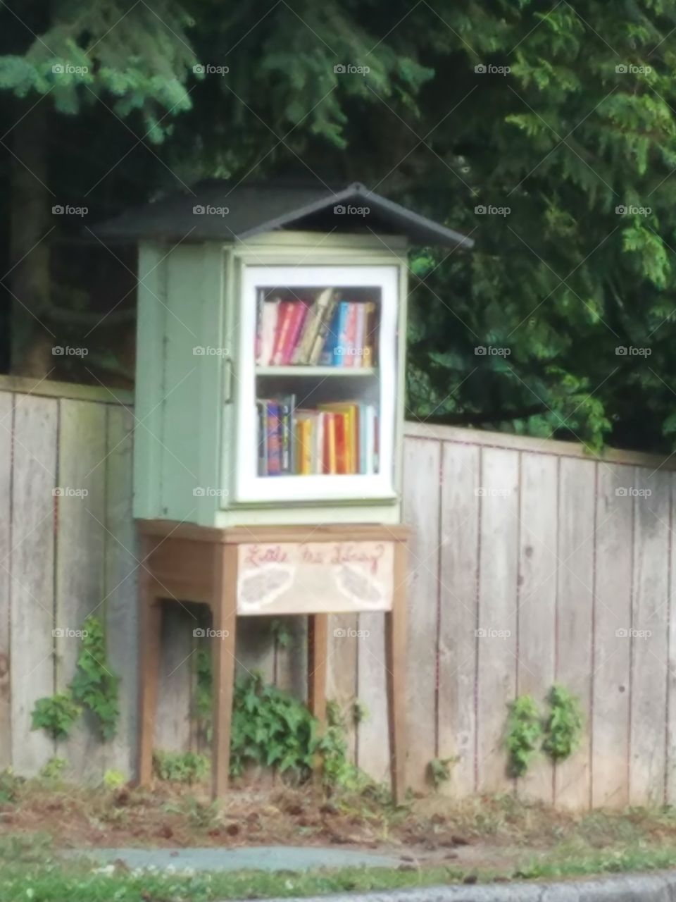 little green library