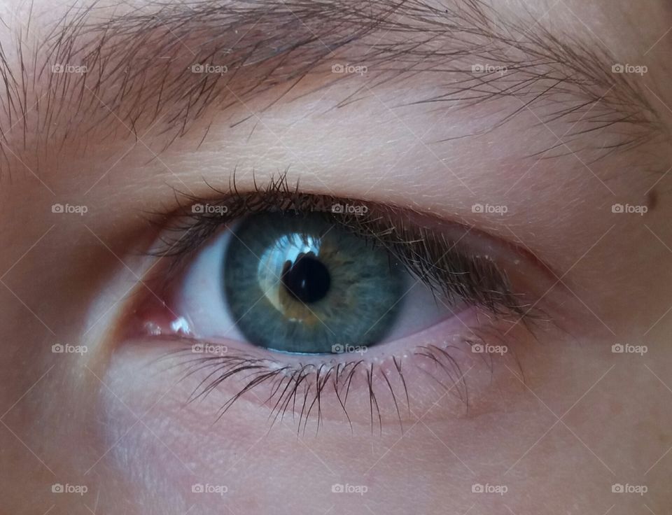 eye