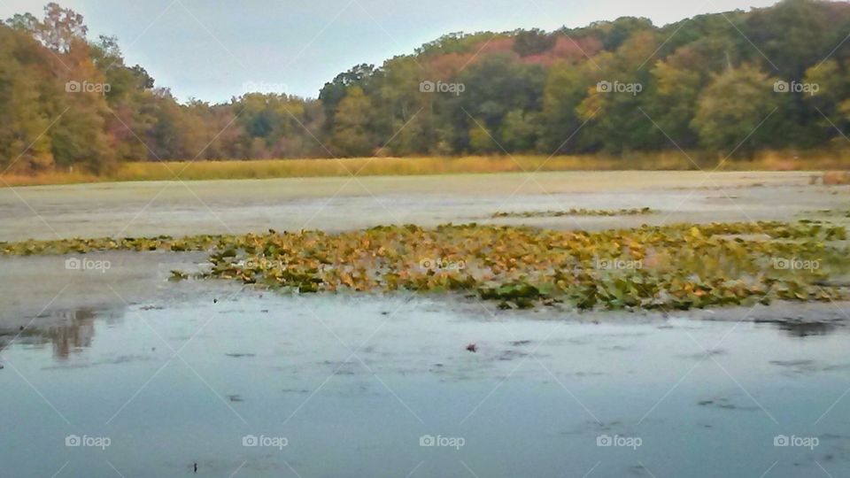 Lake with blue skies