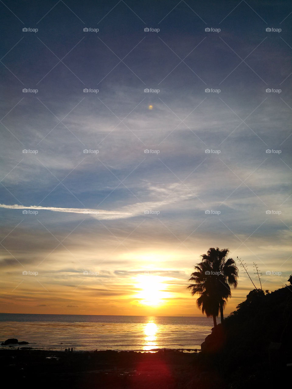 beach ocean sky tree by itsAus