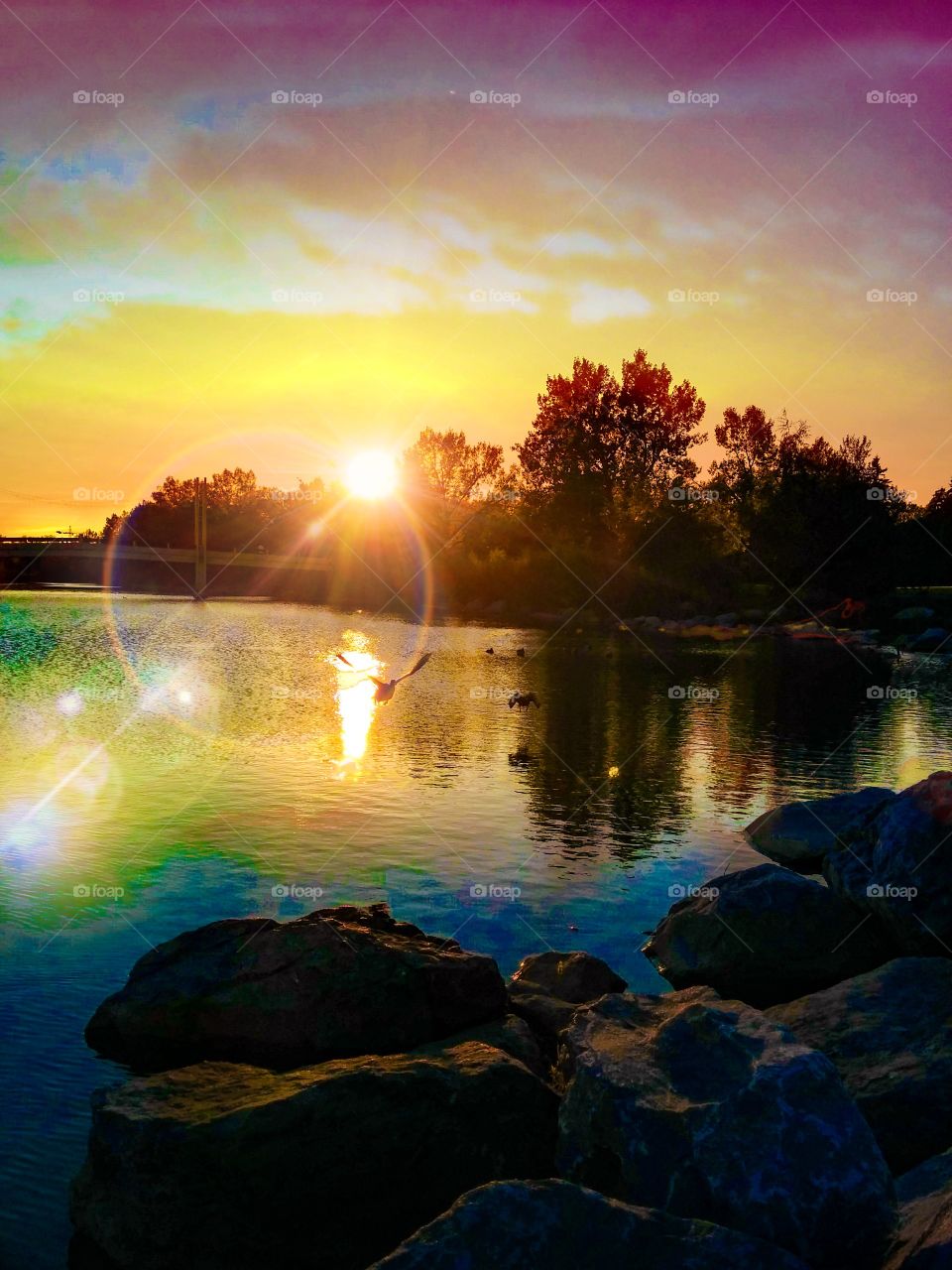 Ducks flying at sunset. The magic begins when you are looking to heal nature