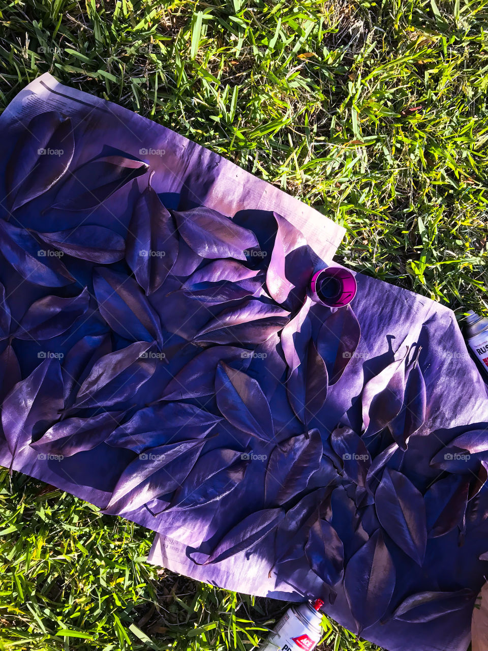 Spray painting fall leaves 