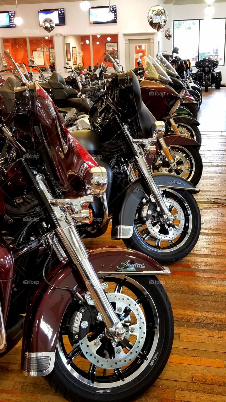 various Harley motor cycles