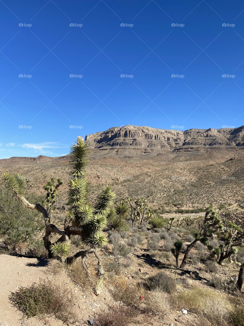 Beautiful view of mountains from a little park off the side of Diamond Bar Road in Meadview Arizona