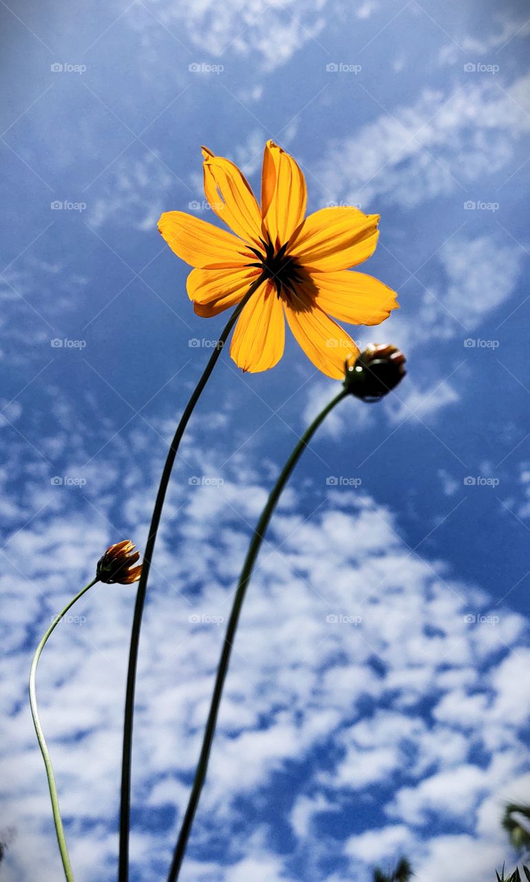  “Nature is pleased with simplicity. ...😘