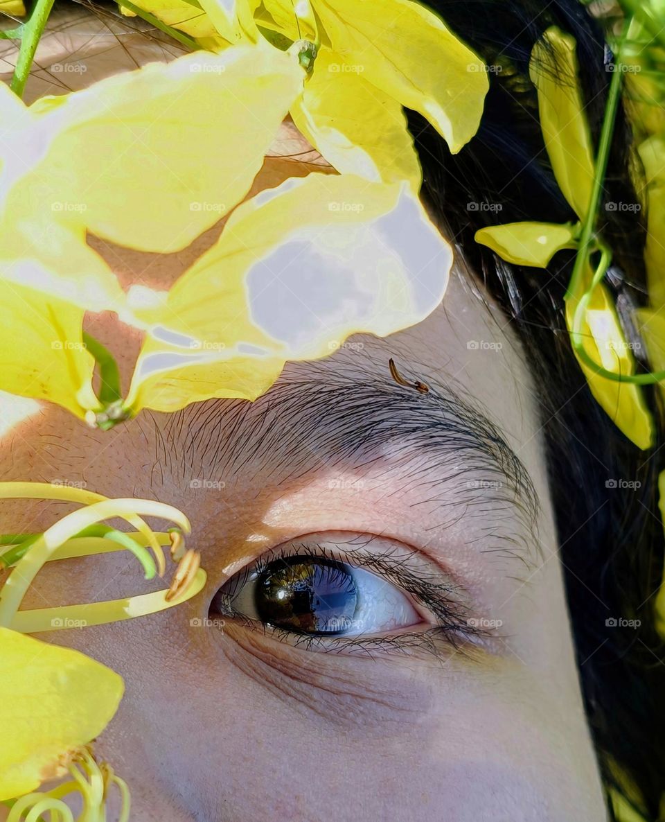 Sunshine and flowers blooming during the springtime.