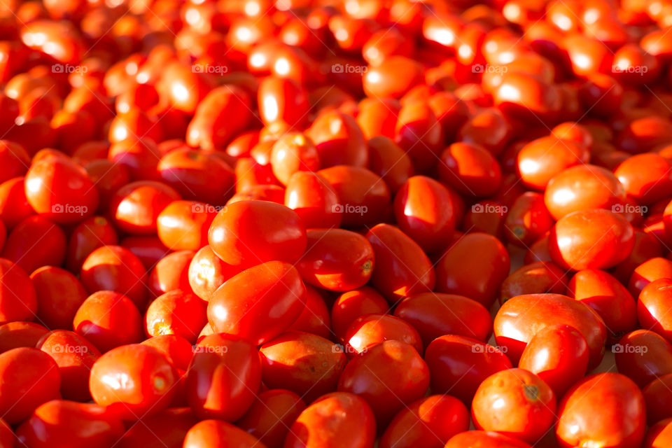 Tomatoes for homemade sauce. Mangia!
